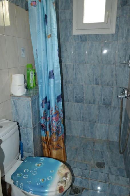 Vasiliki'S Cosy House Apartman Néa Mihanióna Kültér fotó